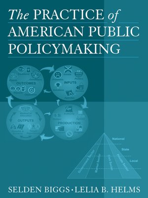 cover image of The Practice of American Public Policymaking